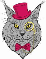 Image result for Maine Coon Cat Clip Art