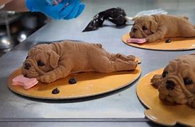 Image result for Realistic Dog Cake