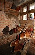 Image result for Building a Chicken Roost