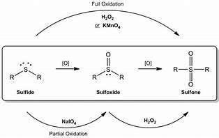 Image result for Sulfide Oxidation SQR