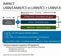 Image result for Lama Therapy