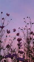 Image result for Cute Pastel Pink Aesthetic Flowers