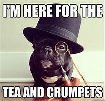 Image result for Afternoon Tea Meme