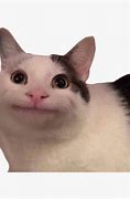 Image result for Cat Smiling Memw