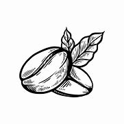 Image result for Coffee Bean BW Vector