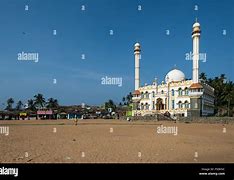 Image result for Talo Palli