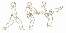 Image result for Karate Front Kick