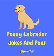 Image result for Pun Dog Jokes