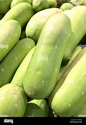 Image result for Wooden Gourd