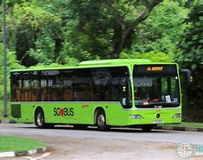 Image result for Smrt Bus for 7