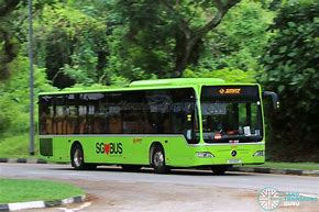 Image result for SMRT Bus 188