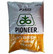 Image result for Hybrid Corn Seed