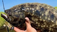 Flounder Fishing (Best Spots, Lures, Tips, & Rigging For More Flounder)