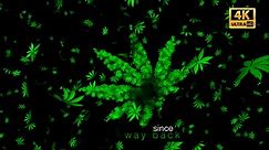 Weed Titles 4K