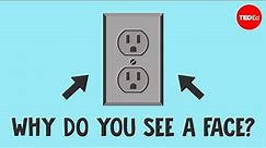 Do you see a face? You're actually hallucinating - Susan G.