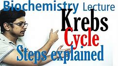 Krebs cycle