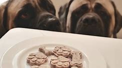 Healthy Homemade Dog Treats in 10 Minutes Or Less [NO-BAKE RECIPE]