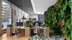 Eco-Friendly Modern Open Plan Office Interior With Tables, Office...