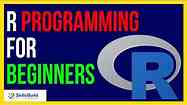 R Programming Tutorial for Beginners | Learn the Basics of R Programming | R & RStudio Tutorial