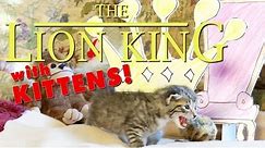 The Lion King (Cute Kitten Version)