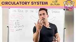 Circulatory System | Overview