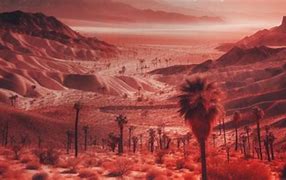 Image result for Mojave Desert Rain