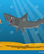 Image result for Shark Eating Small Fish