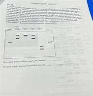 Image result for Paternity DNA Markers Examples