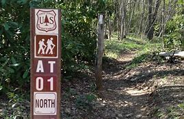 Image result for Footpath Near Road