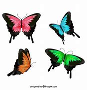 Image result for 9 Butterflies