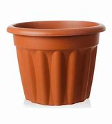 Image result for Euka Plant Plastic