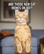 Image result for Gunney Meme