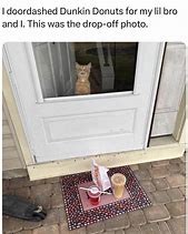 Image result for OH Delivery Wawa Cat Meme