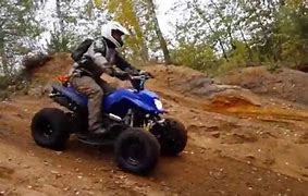 Image result for Bashan Sportsman 250