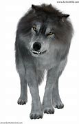 Image result for Grey Dire Wolf