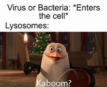 Image result for DNA Biology Memes