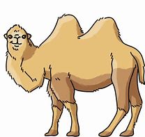 Image result for Hump Day Camel Cartoon Clip Art