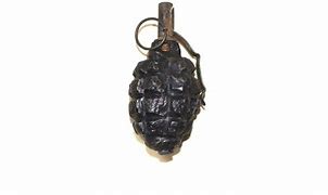 Image result for F1 Dummy Grenade