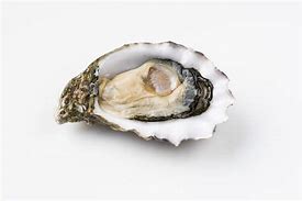 Image result for Oyster Puchka