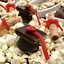 Image result for Graduation Snack Ideas