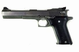 Image result for New AMT Automag II