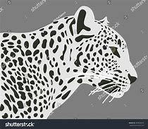 Image result for Leopard Front