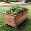 Image result for Raised Garden Beds Outdoor