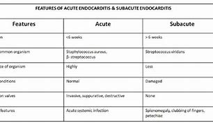 Image result for Acute Endocarditis