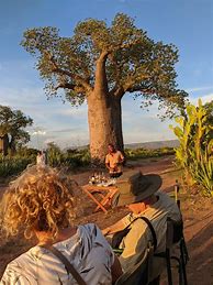 Image result for Upside Down Tree