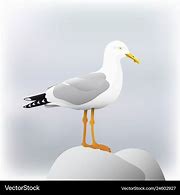 Image result for Seagull Vector Design