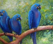 Image result for Blue Parrot Painting