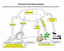 Image result for Carbon Cycle Diagram