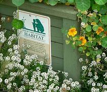 Image result for Wildlife Habitat Decor