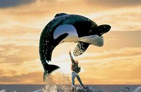 Image result for Free Willy 1